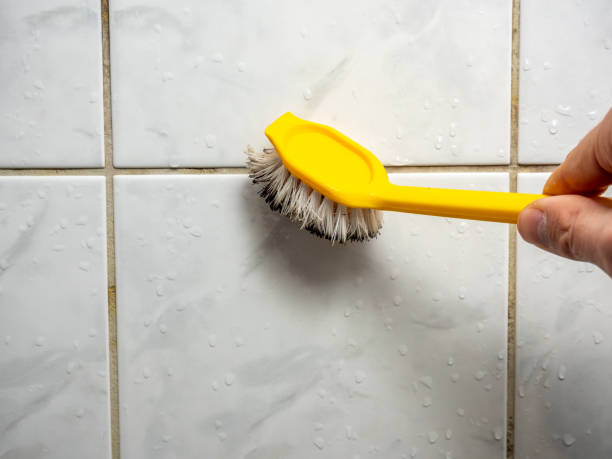 Water Damage Restoration in Lake Forest, CA