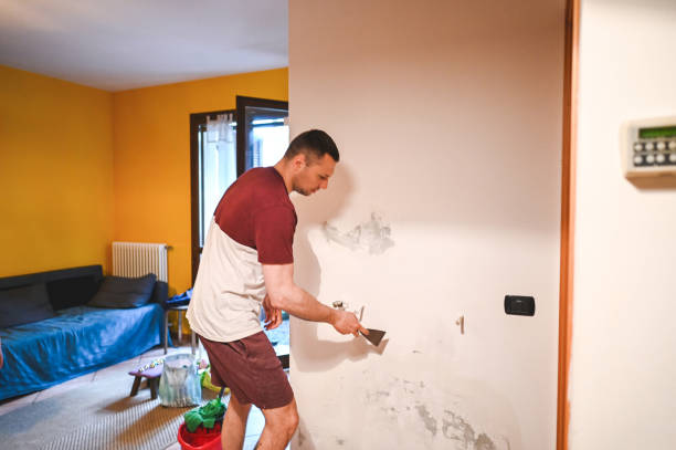Best Mold Removal and Inspection  in Lake Forest, CA