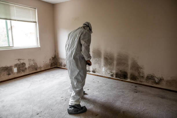 Best Mold Testing  in Lake Forest, CA